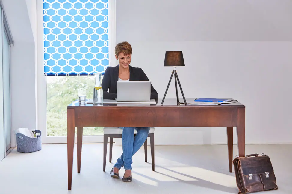 Rollos nach Lichtdurchlässigkeit angebracht in einem Fenster als transparente Variante