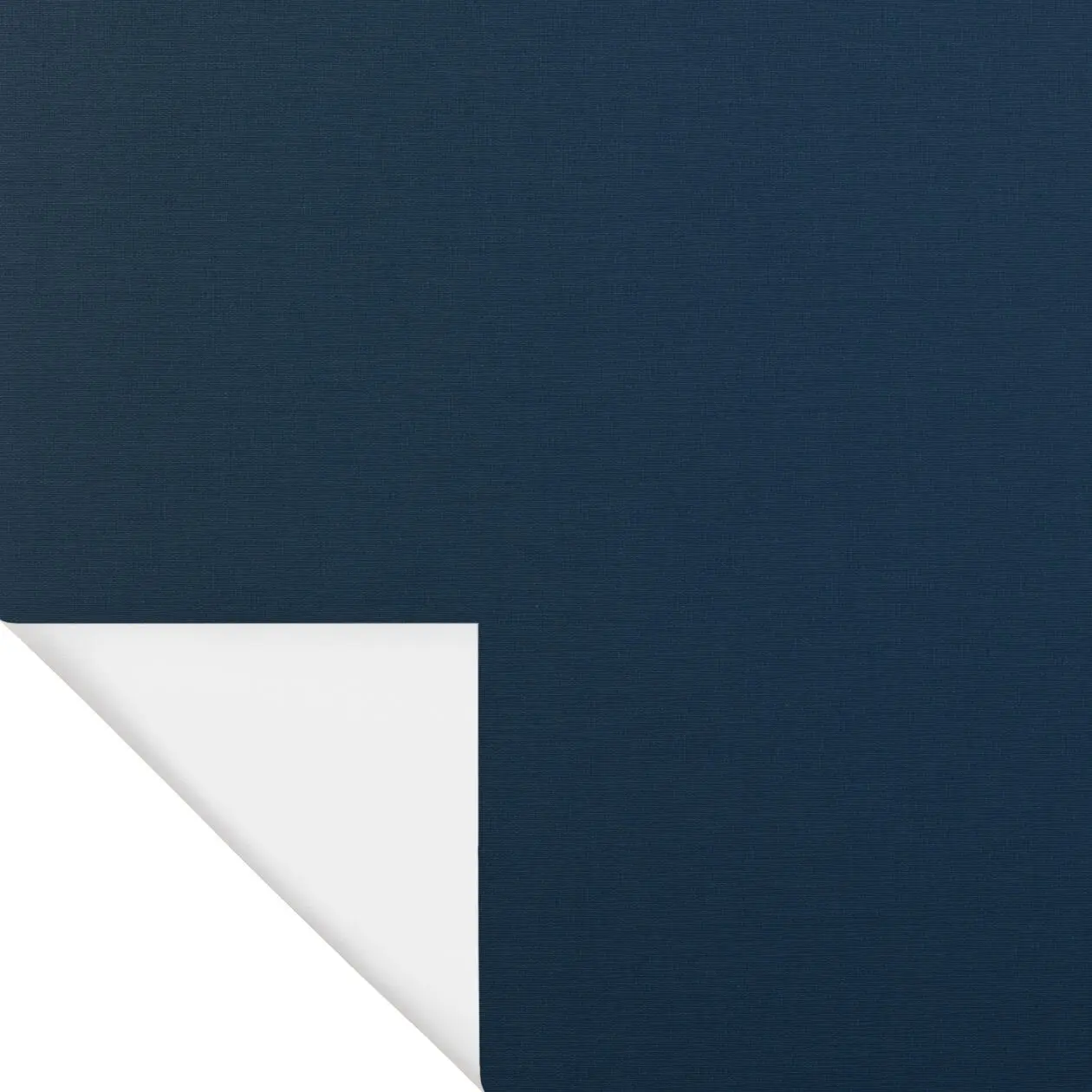 Bluetooth-Rollo Palermo