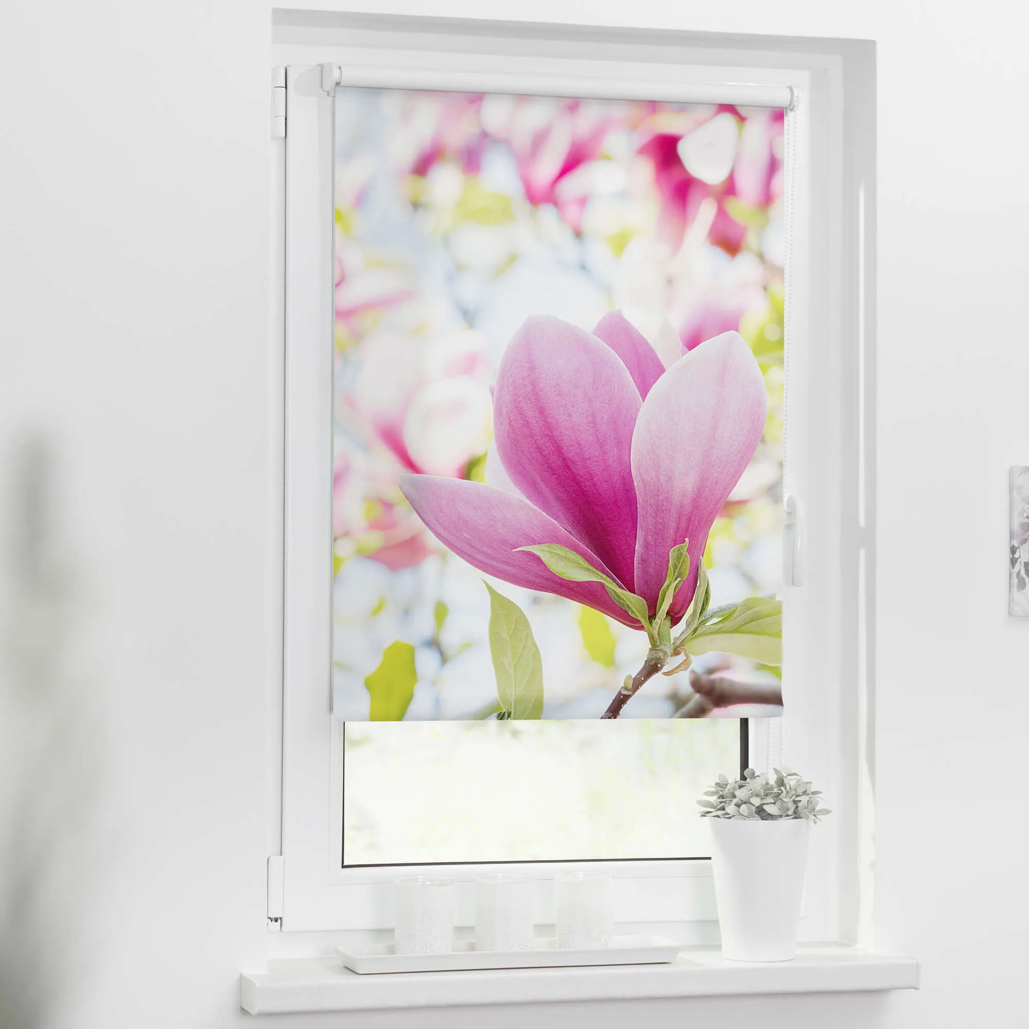 Rollo mit Motiv Magnolie