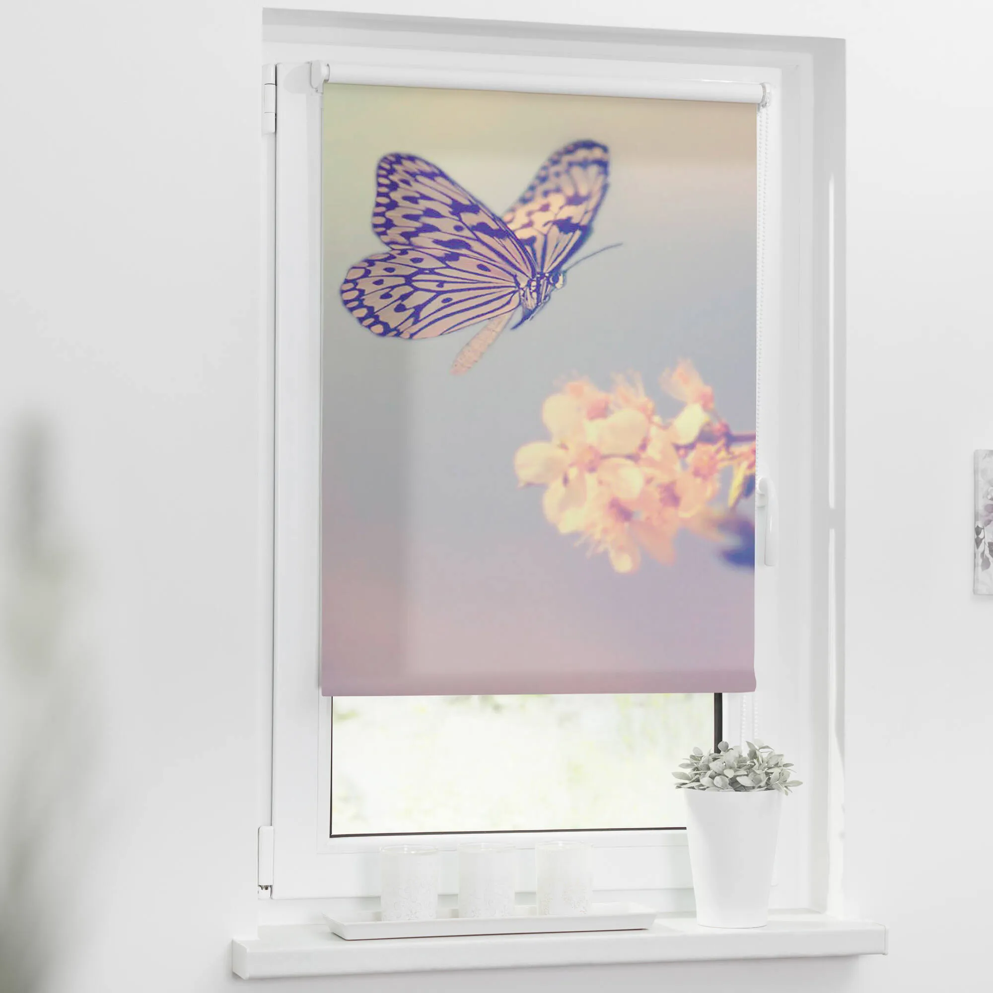 Rollo mit Motiv Schmetterling
