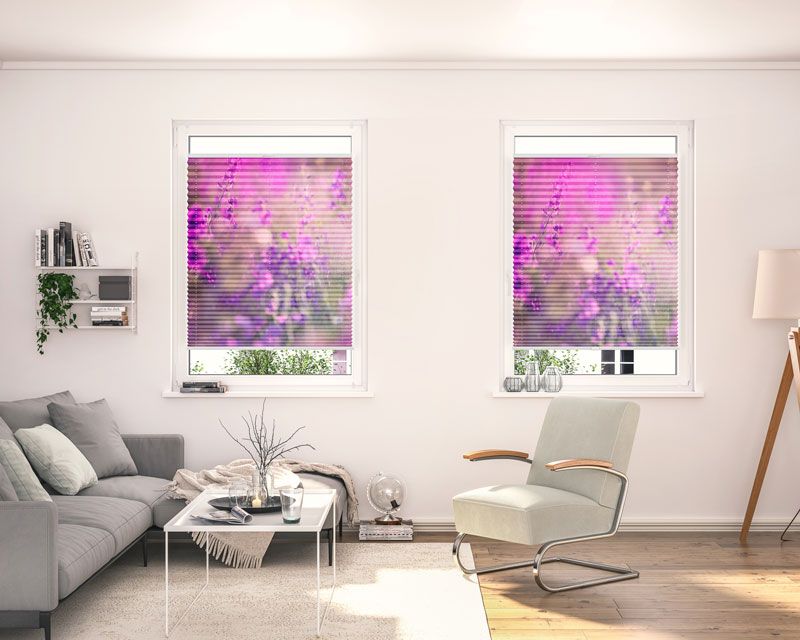 Plissees für das Wohnzimmer mit Muster im Fenster Plissees für das Wohnzimmer mit Muster im Fenster