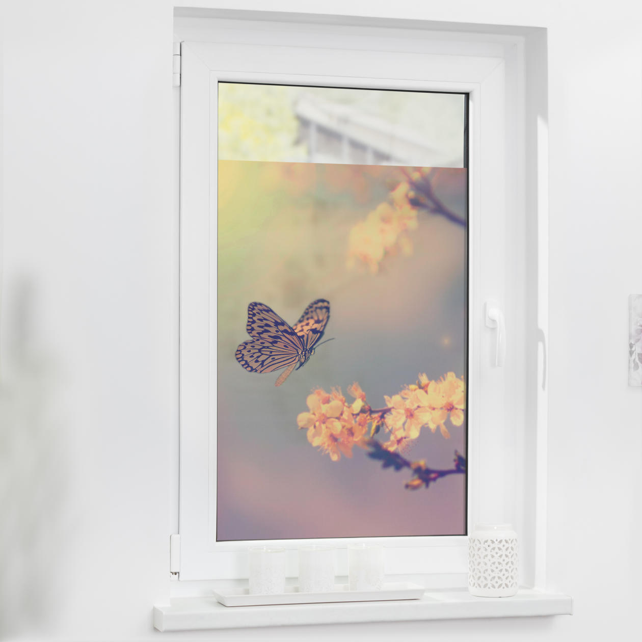 Fensterfolie mit Motiv Schmetterling Fensterfolie mit Motiv Schmetterling