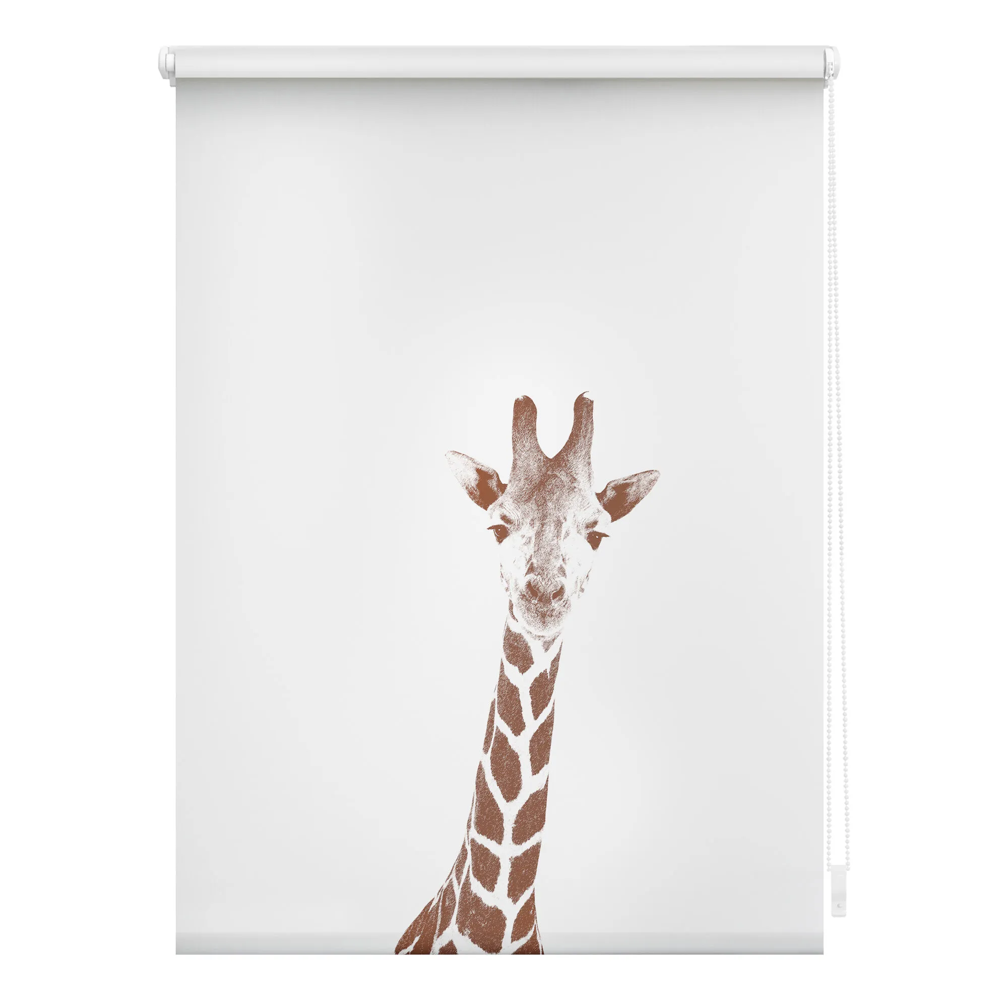 Rollo mit Motiv  Giraffe