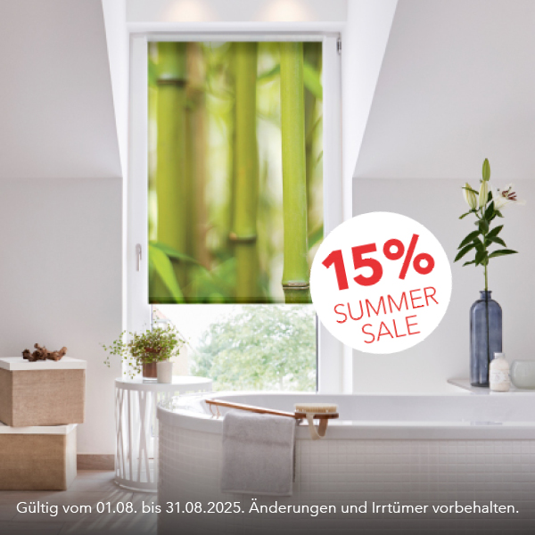 Pflanze, Pflanze im Topf, Krug, Drinnen, Innenarchitektur