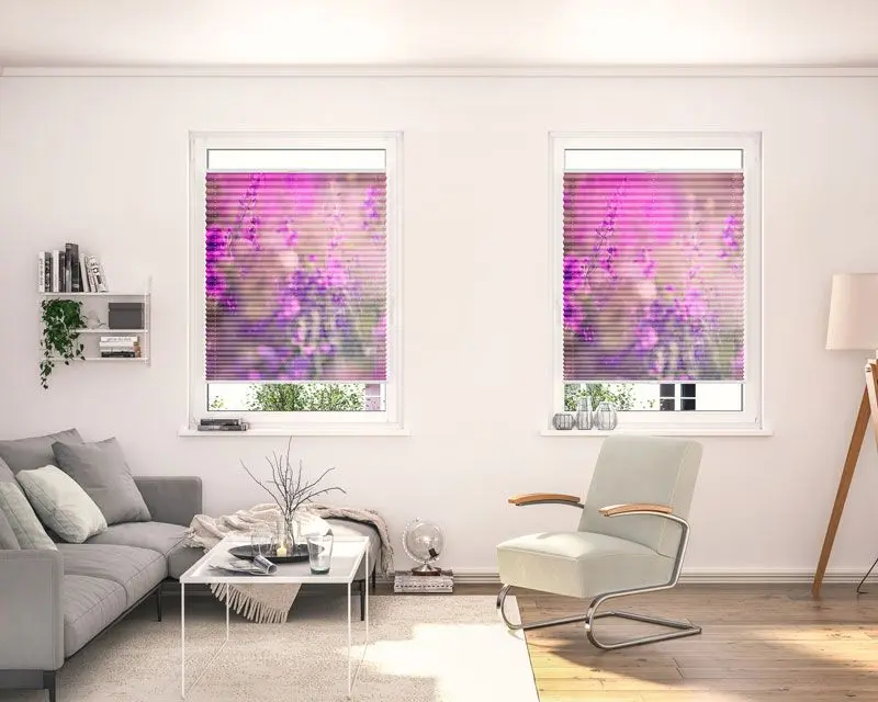 Plissees mit Motiv für das Wohnzimmer angebracht im Fenster