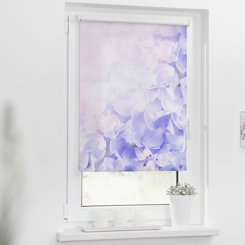 Rollo mit Motiv einer Hortensie in lila als Fenstersichtschutz Rollo mit Motiv einer Hortensie in lila als Fenstersichtschutz