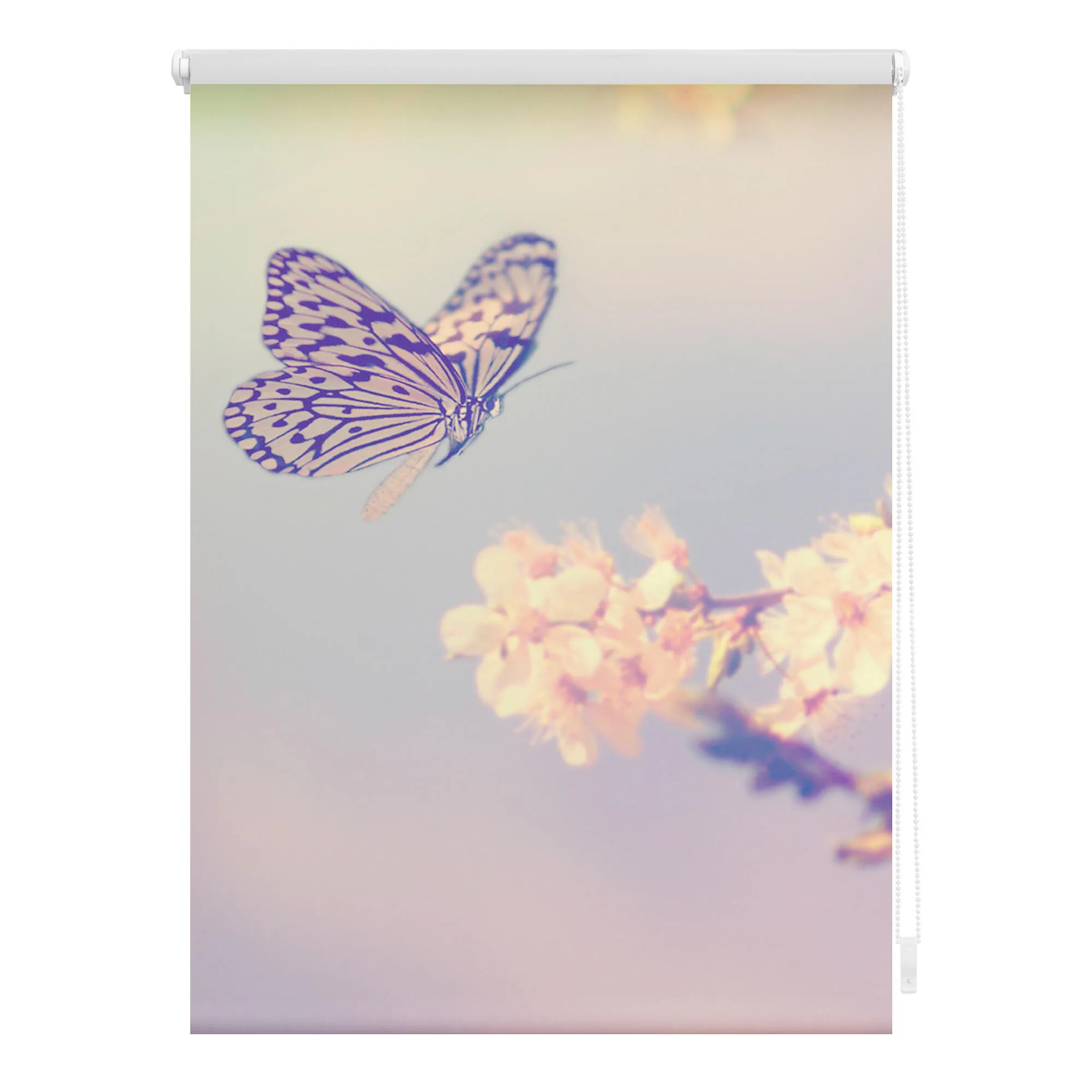 Rollo mit Motiv Schmetterling