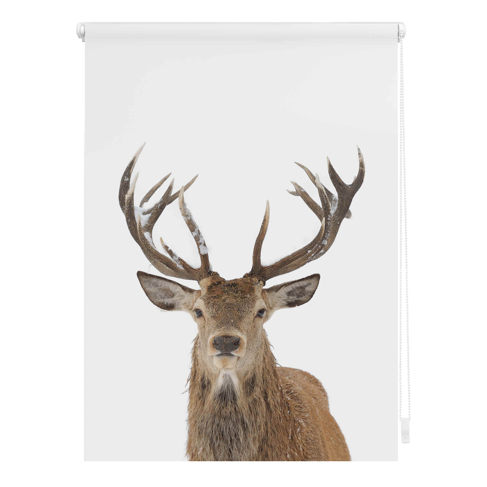 Rollo mit Weihnachtsmotiv Hirschfoto Rollo mit Weihnachtsmotiv Hirschfoto