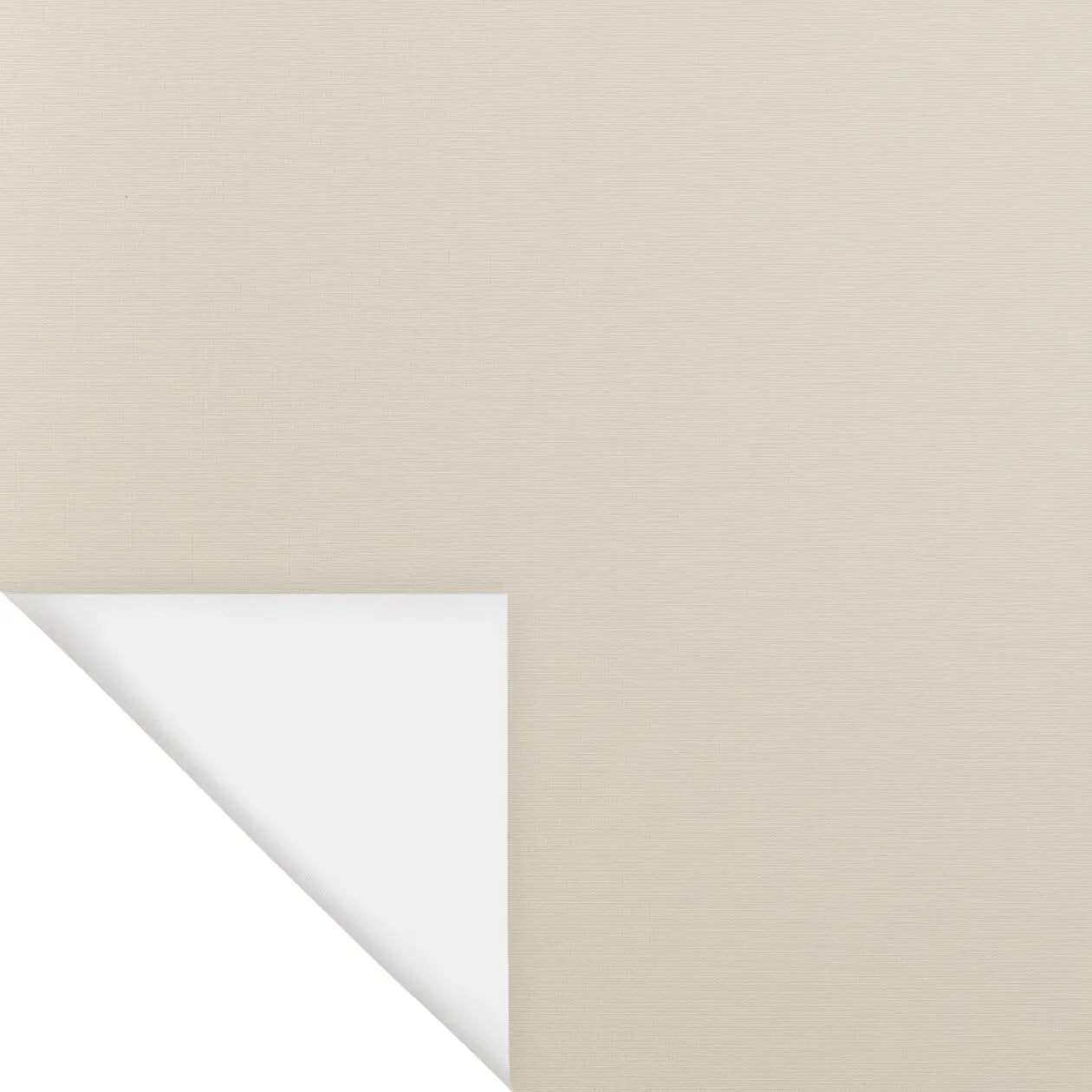 Bluetooth-Rollo Palermo