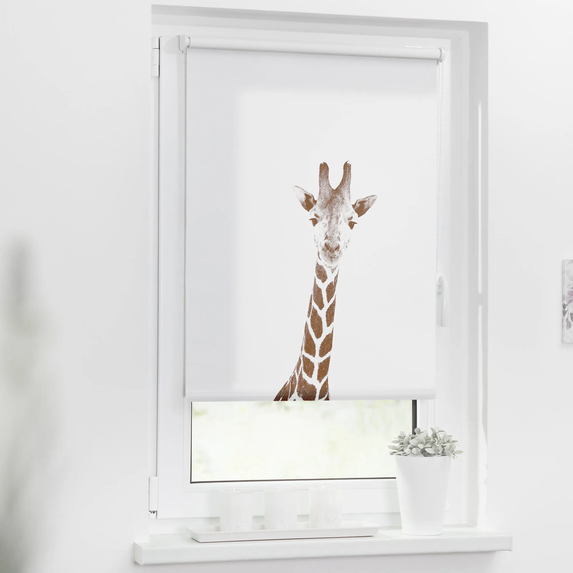 Rollo mit Motiv  Giraffe