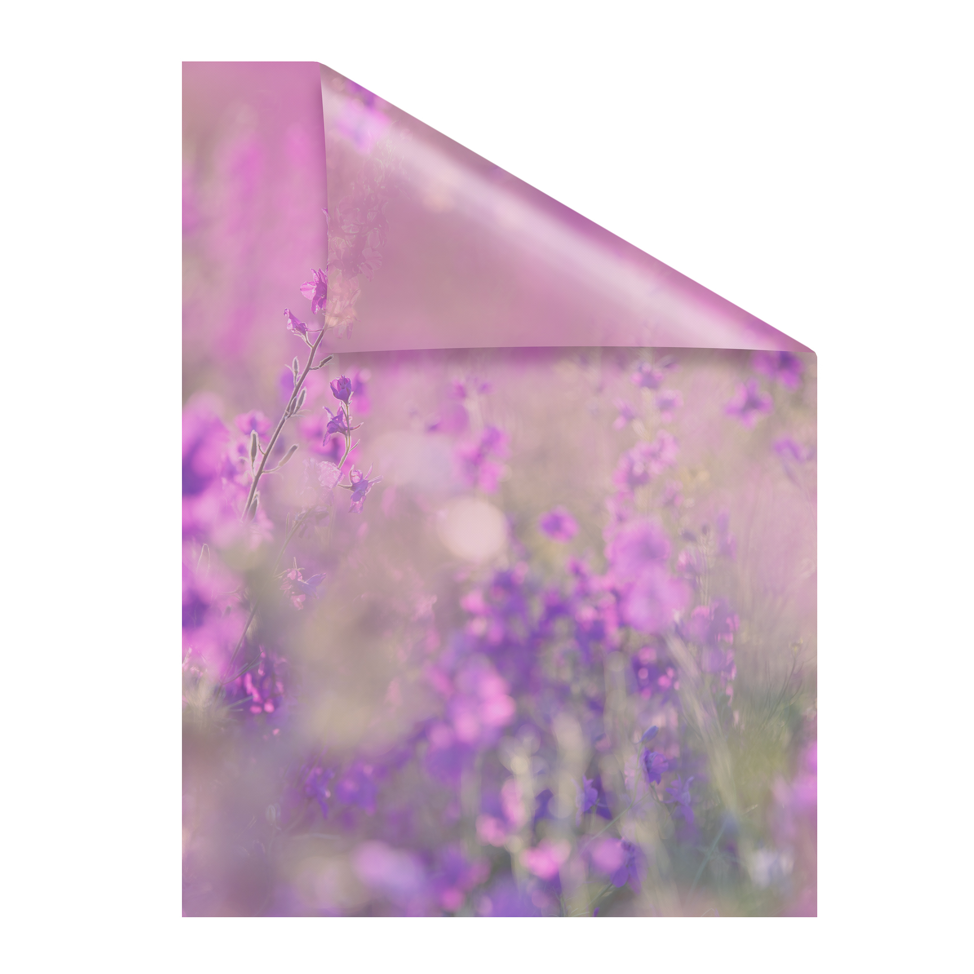 Fensterfolie mit Motiv Blumenwiese Fensterfolie mit Motiv Blumenwiese