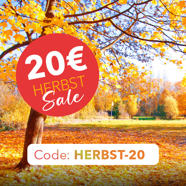 Hernstsale-sichtschutz-am-fenster-lichtblick-shop