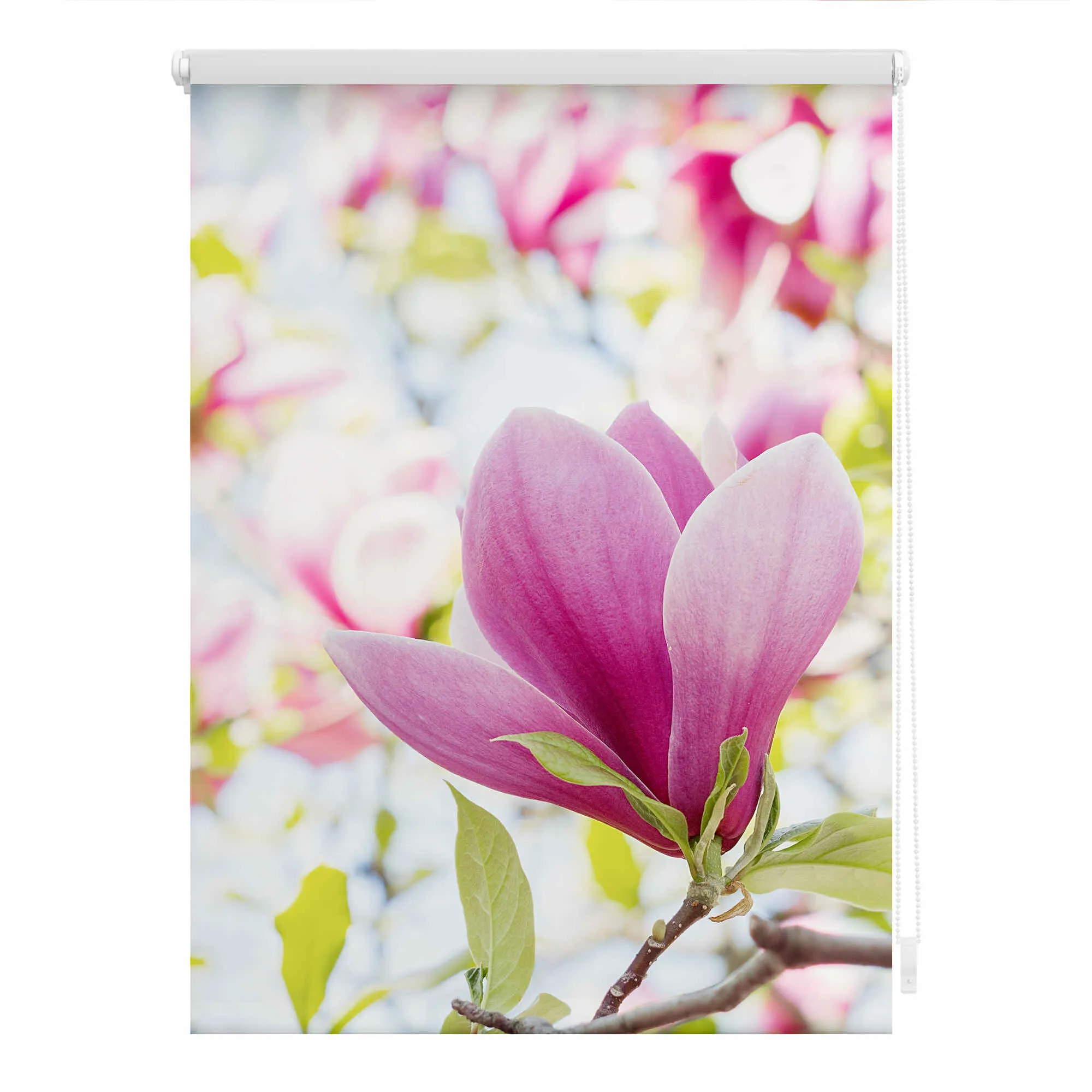 Rollo mit Motiv Magnolie