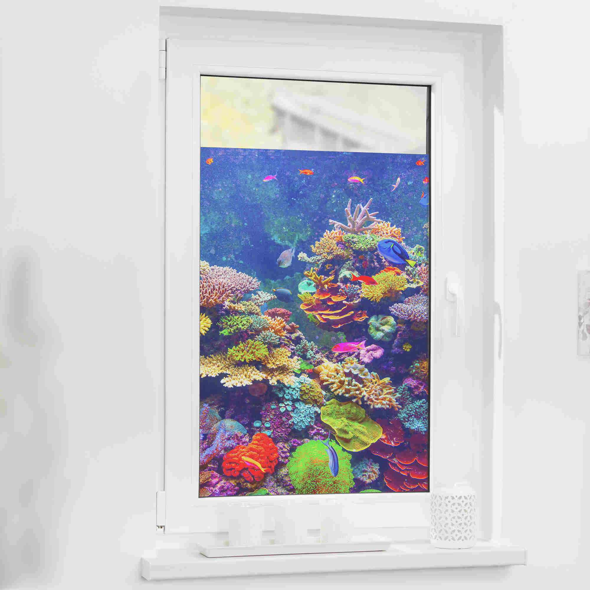 Fensterfolie mit Motiv Aquarium Fensterfolie mit Motiv Aquarium