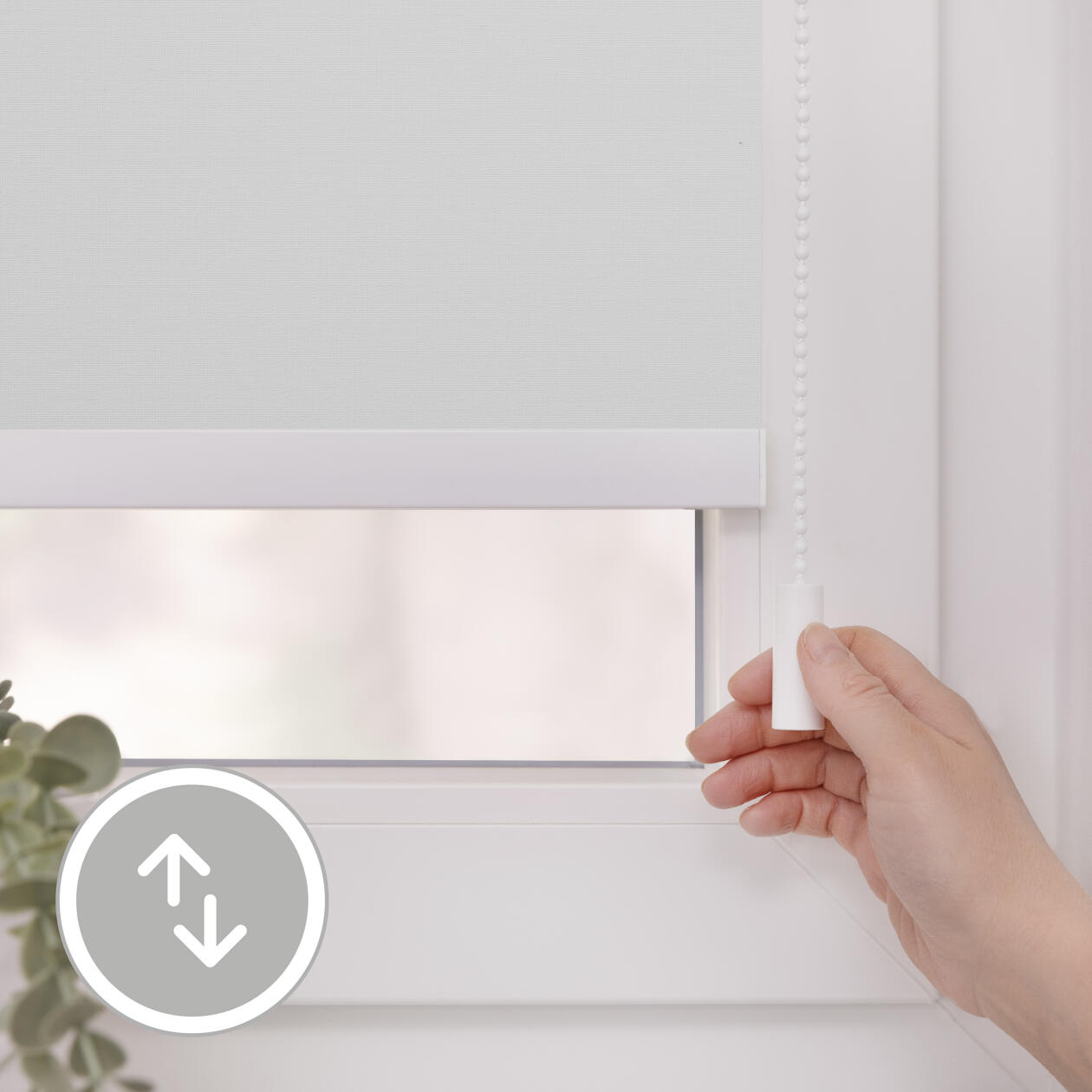 Bluetooth-Rollo Palermo Bluetooth-Rollo Palermo