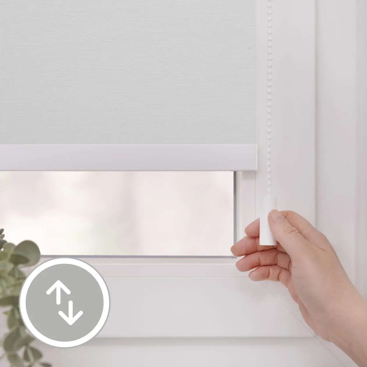 Bluetooth-Rollo Palermo