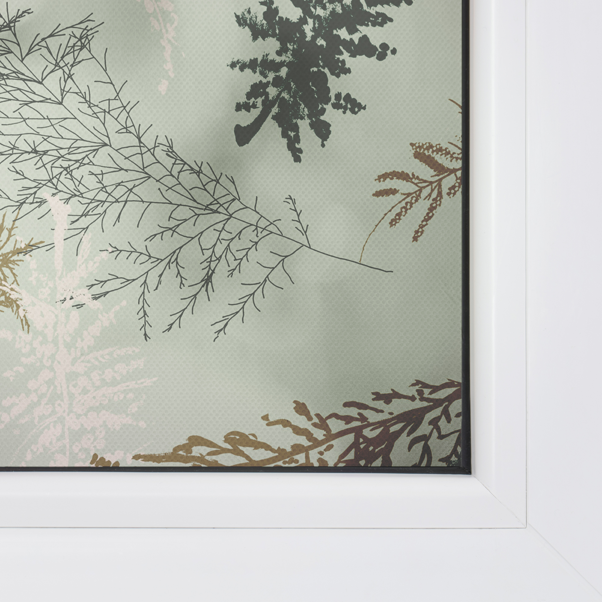 Design Fensterfolie mit Motiv Fir Branches