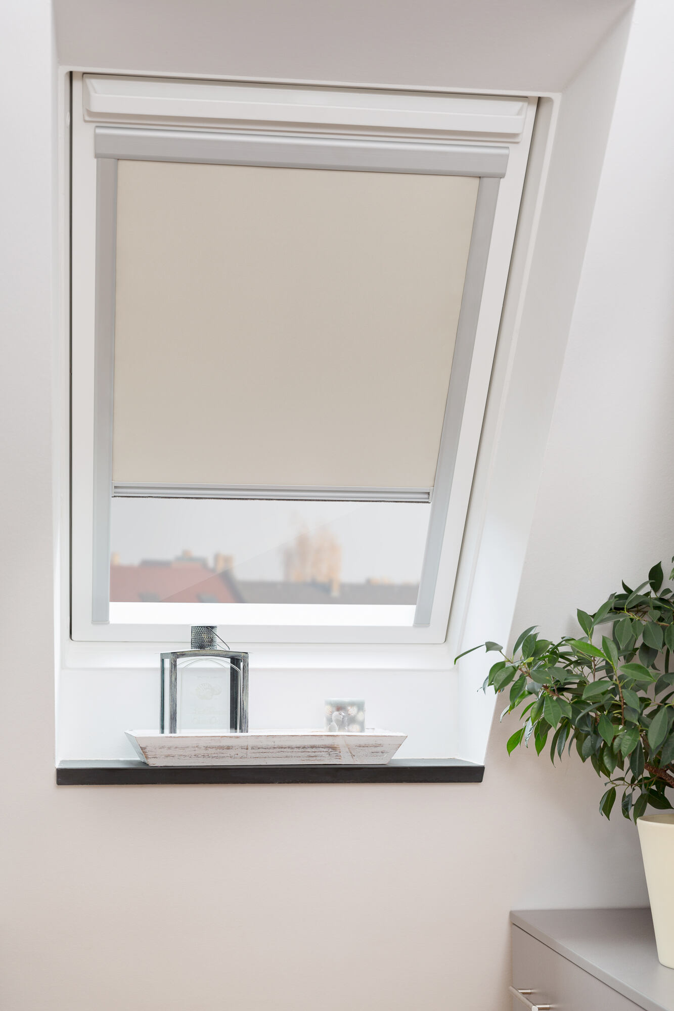 Fenster, Fensterbank, Parfüm, Pflanze, Dachfenster, Fenster, Fensterbank, Parfüm, Pflanze, Dachfenster, Fenster, Fensterbank, Parfüm, Pflanze, Dachfenster, Fenster, Fensterbank, Parfüm, Pflanze, Dachfenster