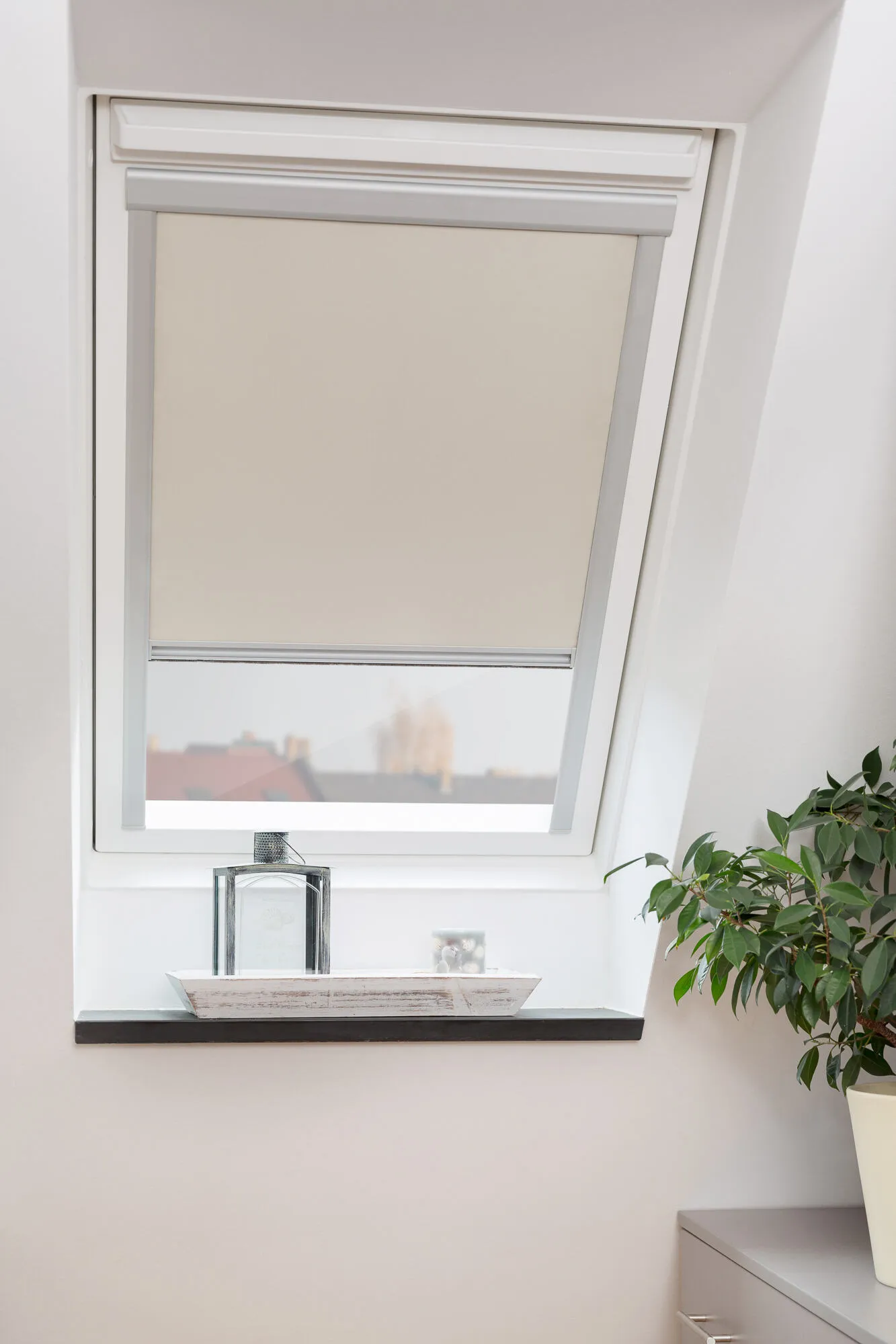 Fenster, Fensterbank, Parfüm, Pflanze, Dachfenster, Fenster, Fensterbank, Parfüm, Pflanze, Dachfenster, Fenster, Fensterbank, Parfüm, Pflanze, Dachfenster, Fenster, Fensterbank, Parfüm, Pflanze, Dachfenster