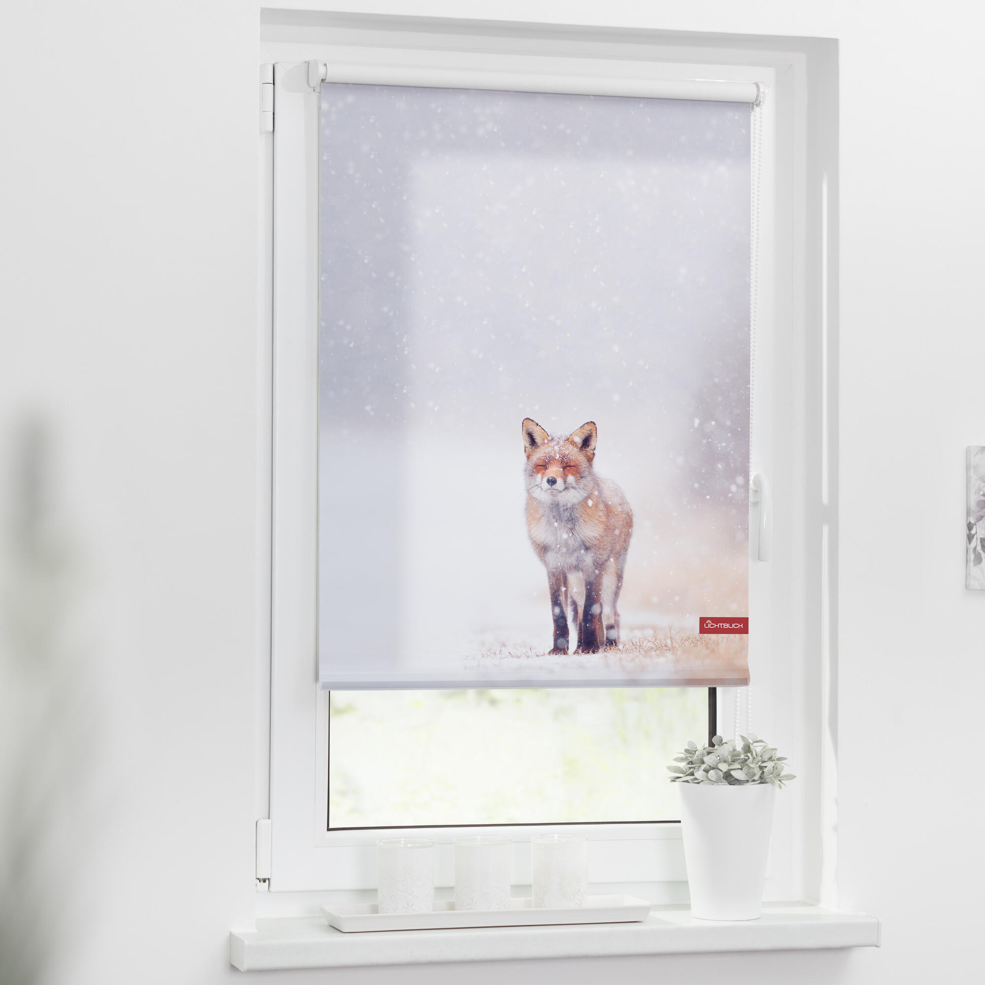 KRT.060.150.319 - Fuchs_im_Schnee .374