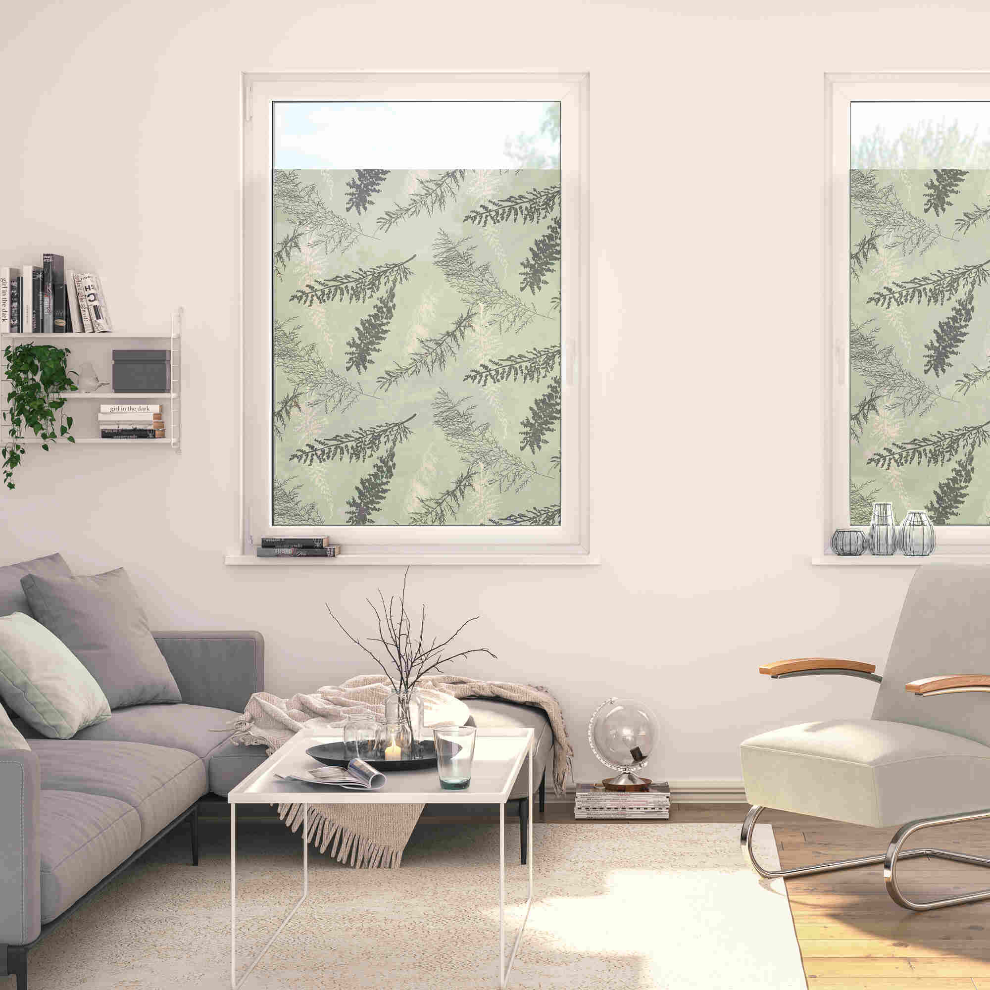 Design Fensterfolie mit Motiv Fir Branches Design Fensterfolie mit Motiv Fir Branches