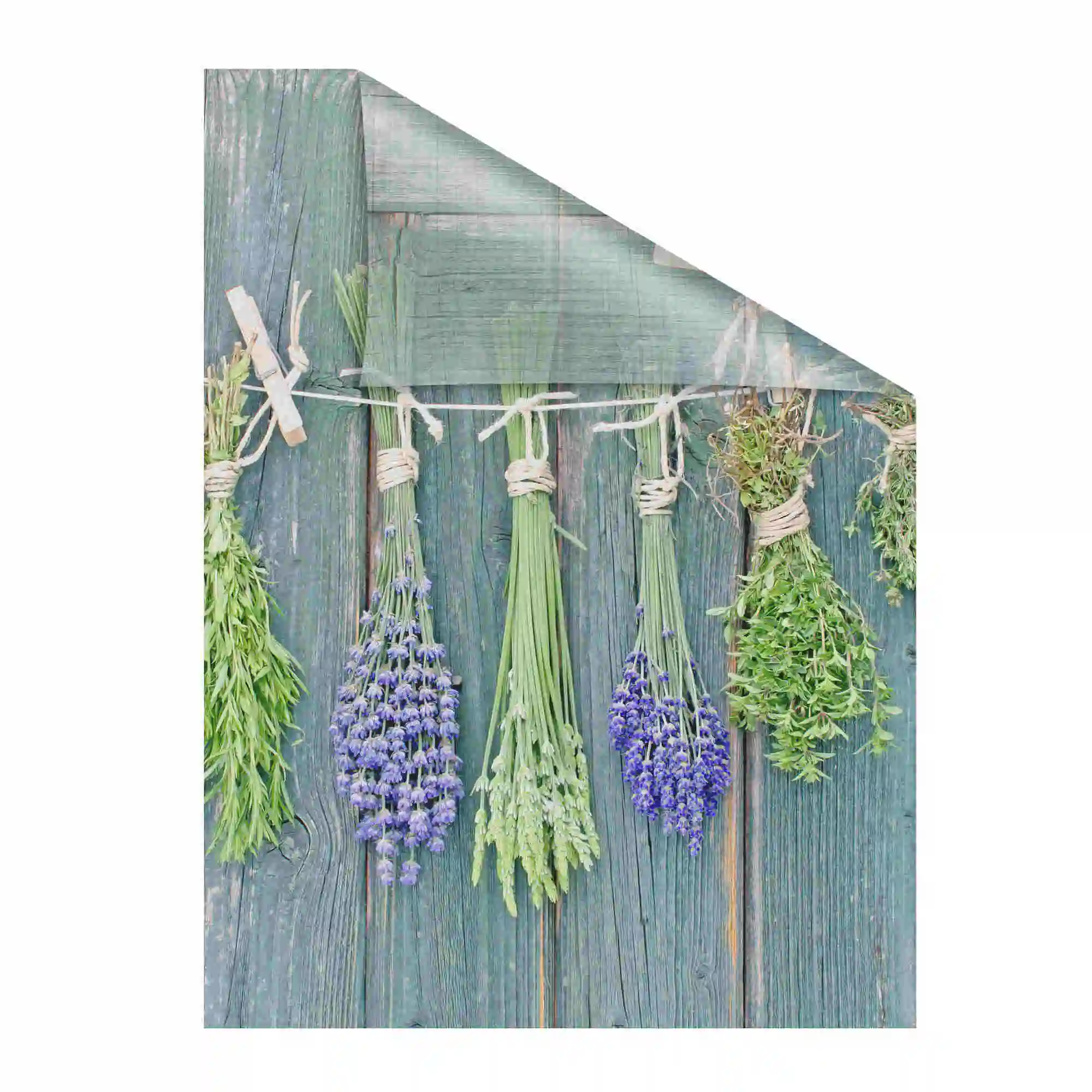 Fensterfolie mit Motiv Kräuter