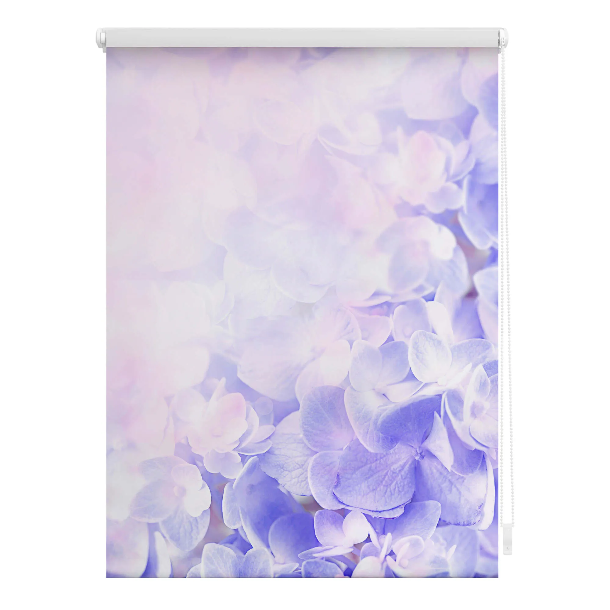 Rollo mit Motiv Hortensie