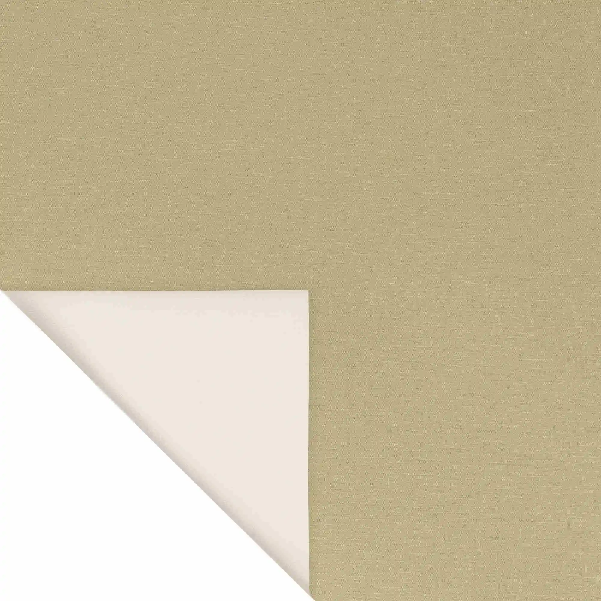 Thermo-Rollo lichtdurchlässig Madrid