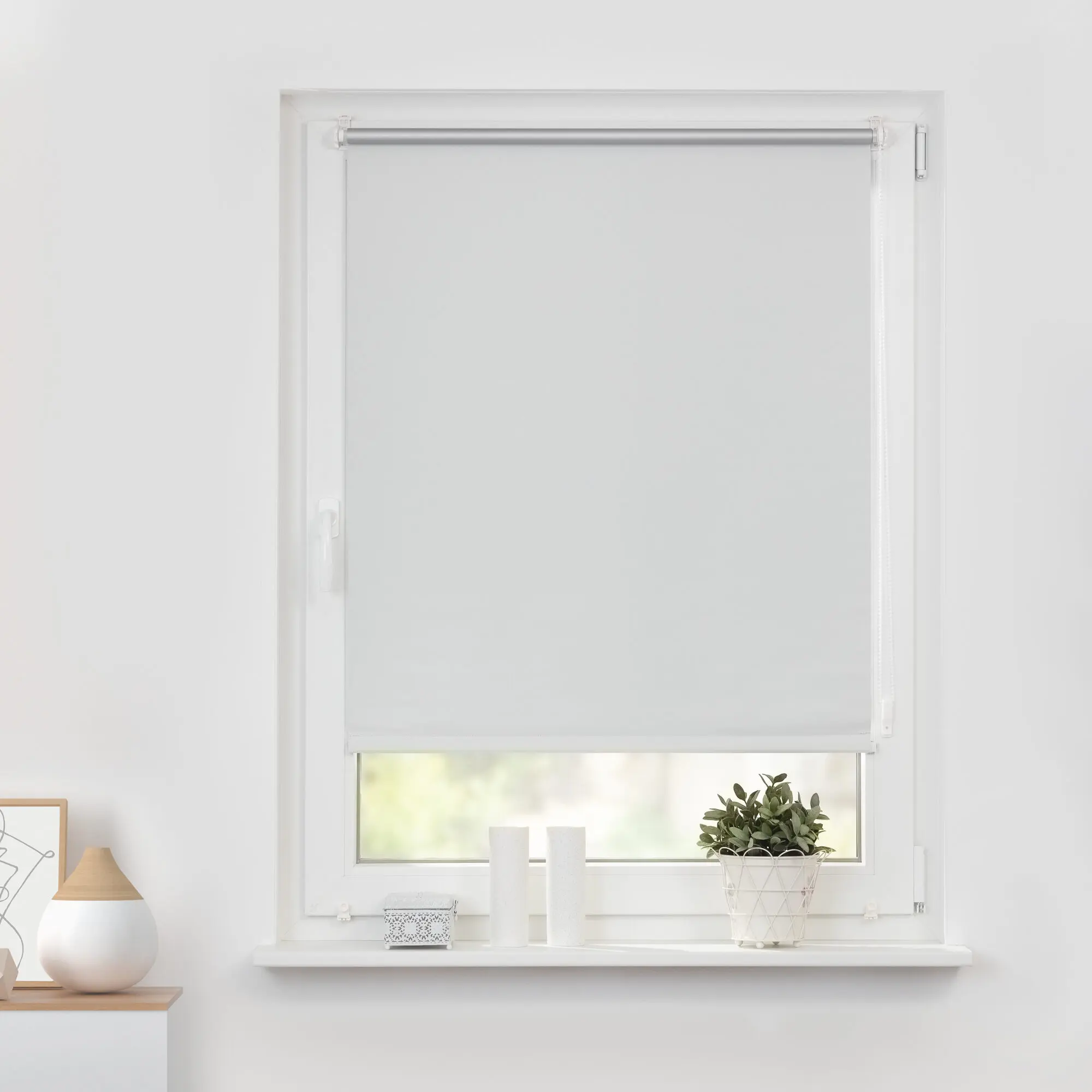 Pflanze, Dekoration für Zuhause, Fenster, Schatten am Fenster, Fensterbank, Pflanze, Dekoration für Zuhause, Fenster, Schatten am Fenster, Fensterbank, Pflanze, Dekoration für Zuhause, Fenster, Schatten am Fenster, Fensterbank