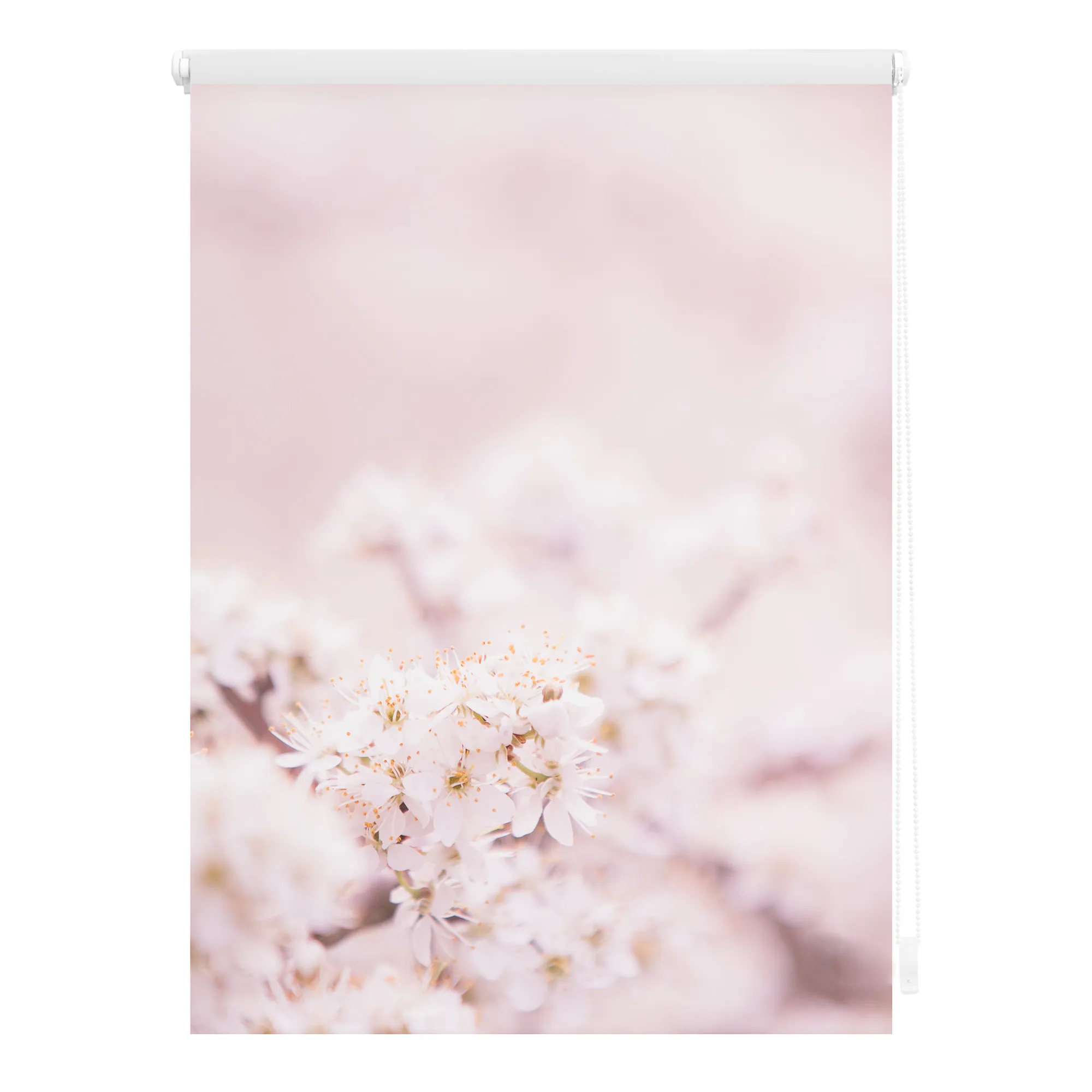 Rollo mit Motiv Kirschblüten