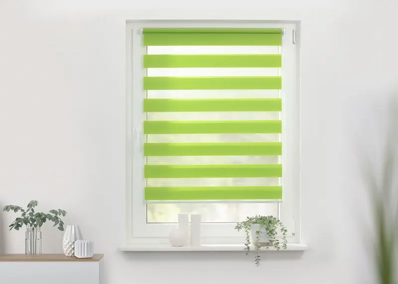 Doppelrollo in der Farbe Grün angebracht in einen Fenster