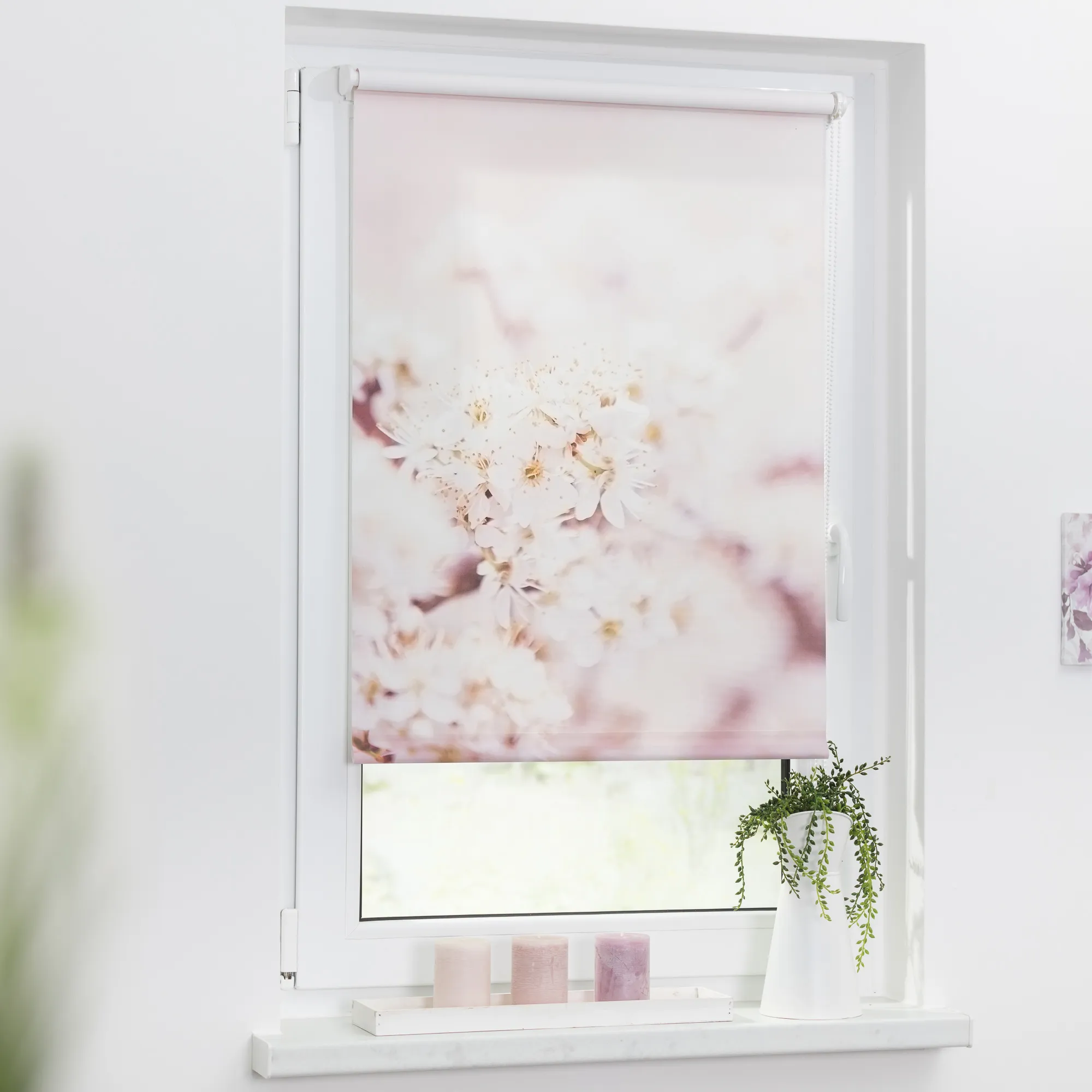 Rollo mit Motiv Kirschblüten