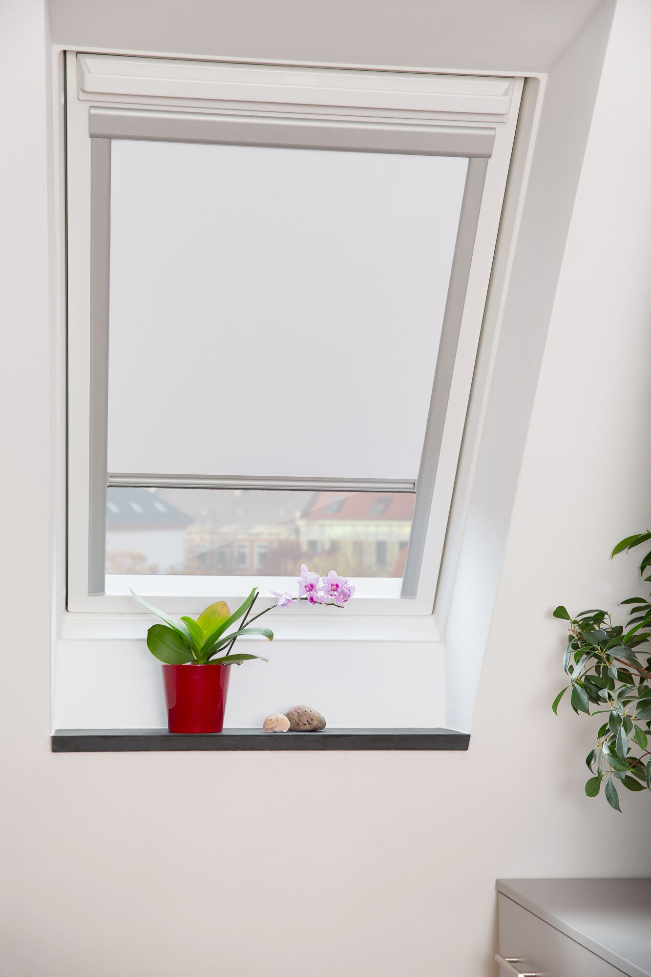 Thermo Dachfensterrollo Velux Fenster, Fensterbank, Pflanze, Postfach, Fenster, Fensterbank, Pflanze, Postfach, Fenster, Fensterbank, Pflanze, Postfach, Fenster, Fensterbank, Pflanze, Postfach, Fenster, Fensterbank, Pflanze, Postfach, Fenster, Fensterbank, Pflanze, Postfach