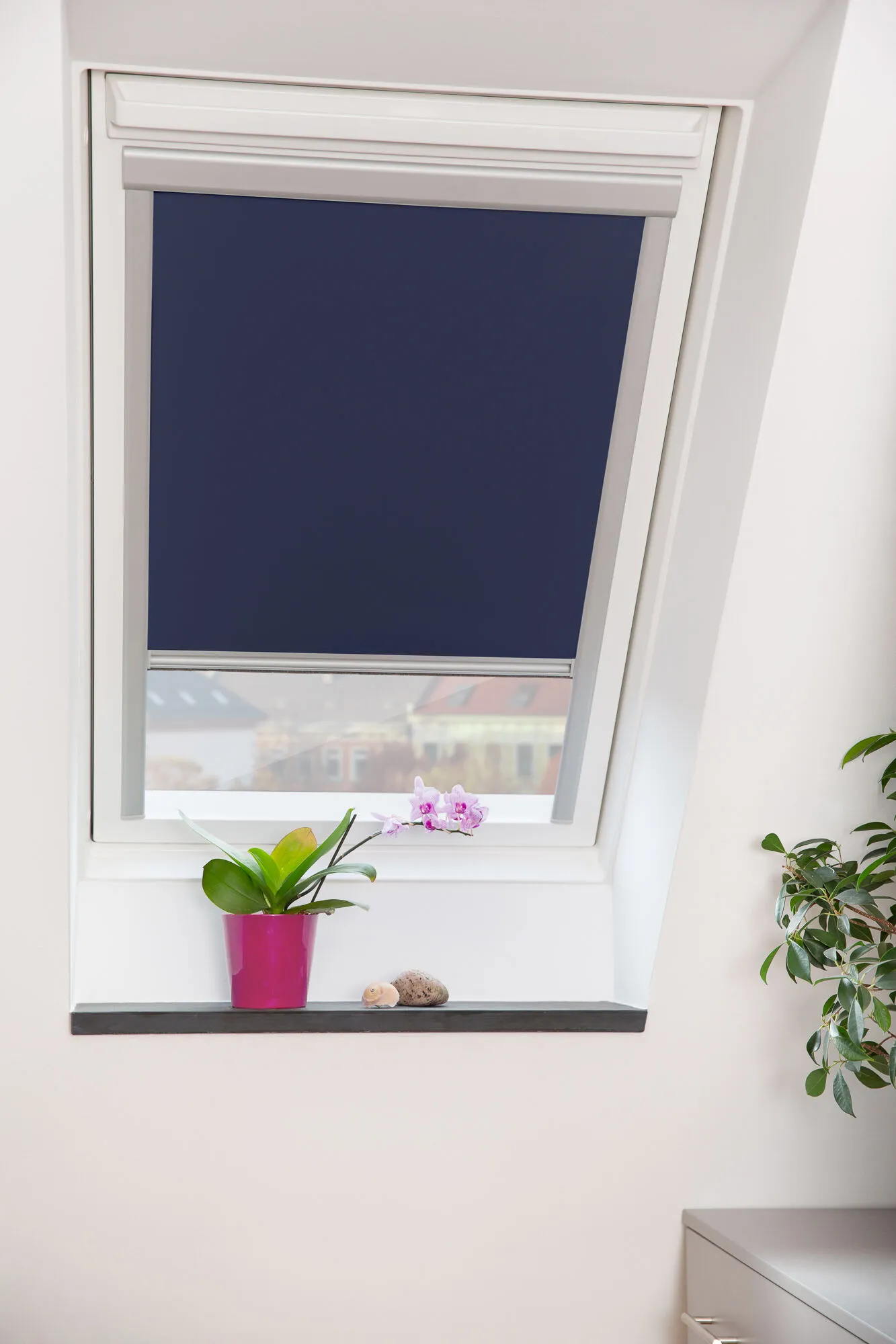 Fenster, Fensterbank, Pflanze, Fenster, Fensterbank, Pflanze, Fenster, Fensterbank, Pflanze, Fenster, Fensterbank, Pflanze, Fenster, Fensterbank, Pflanze, Fenster, Fensterbank, Pflanze, Fenster, Fensterbank, Pflanze, Fenster, Fensterbank, Pflanze