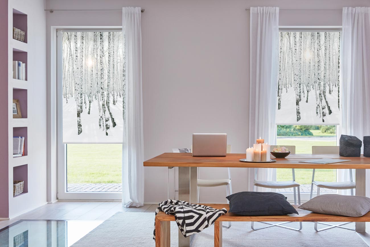 Rollo mit Weihnachtsmotiv Birkenwald Rollo mit Weihnachtsmotiv Birkenwald